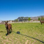 Photo 97 for Lassen Hay Ranch