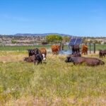 Photo 98 for Lassen Hay Ranch