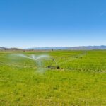 Photo 100 for Lassen Hay Ranch