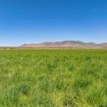 Photo 101 for Lassen Hay Ranch