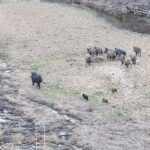 Photo 38 for Pritchard Sumner Ranch