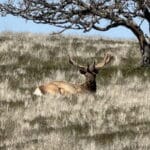 Photo 40 for Pritchard Sumner Ranch