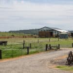 Photo 38 for Lorenzini Ranch