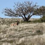 Photo 41 for Pritchard Sumner Ranch