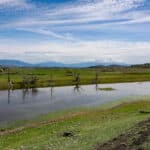 Photo 39 for Lorenzini Ranch