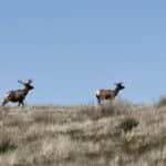 Photo 42 for Pritchard Sumner Ranch