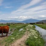 Photo 43 for Lorenzini Ranch