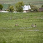 Photo 45 for Lorenzini Ranch
