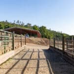 Photo 49 for Silver Ridge Stables