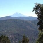 Photo 9 for East Road Ragland Gulch Acreage