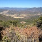 Photo 10 for East Road Ragland Gulch Acreage