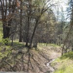 Photo 5 for Scarface Acreage
