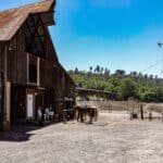 Photo 50 for Silver Ridge Stables