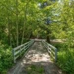 Photo 41 for San Gregorio Creekside Farm