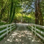 Photo 42 for San Gregorio Creekside Farm