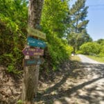 Photo 43 for San Gregorio Creekside Farm