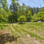 Photo 44 for San Gregorio Creekside Farm