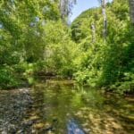 Photo 45 for San Gregorio Creekside Farm