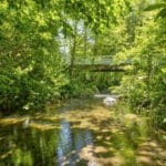 Photo 46 for San Gregorio Creekside Farm