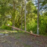 Photo 49 for San Gregorio Creekside Farm