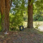 Photo 50 for San Gregorio Creekside Farm