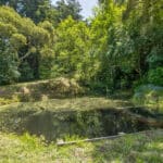 Photo 52 for San Gregorio Creekside Farm