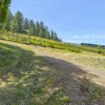 Photo 54 for San Gregorio Creekside Farm