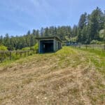 Photo 57 for San Gregorio Creekside Farm