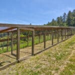 Photo 62 for San Gregorio Creekside Farm