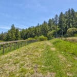 Photo 65 for San Gregorio Creekside Farm