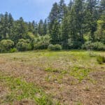 Photo 68 for San Gregorio Creekside Farm