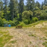 Photo 70 for San Gregorio Creekside Farm