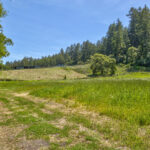 Photo 73 for San Gregorio Creekside Farm