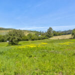 Photo 74 for San Gregorio Creekside Farm