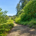 Photo 75 for San Gregorio Creekside Farm