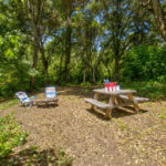 Photo 78 for San Gregorio Creekside Farm
