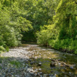 Photo 80 for San Gregorio Creekside Farm