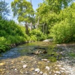 Photo 81 for San Gregorio Creekside Farm
