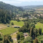 Photo 82 for San Gregorio Creekside Farm