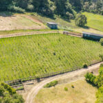 Photo 84 for San Gregorio Creekside Farm