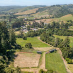 Photo 89 for San Gregorio Creekside Farm