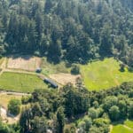 Photo 95 for San Gregorio Creekside Farm