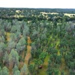 Photo 13 for GR 54 Acres on Cottonwood Creek