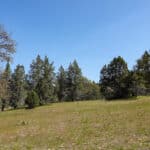 Photo 6 for Scarface Acreage