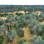 Photo 8 for GR 54 Acres on Cottonwood Creek