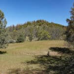 Photo 7 for Scarface Acreage