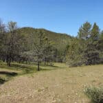Photo 8 for Scarface Acreage