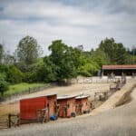 Photo 85 for Silver Ridge Stables