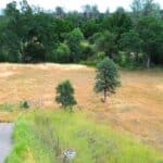 Photo 10 for GR 54 Acres on Cottonwood Creek