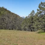 Photo 9 for Scarface Acreage